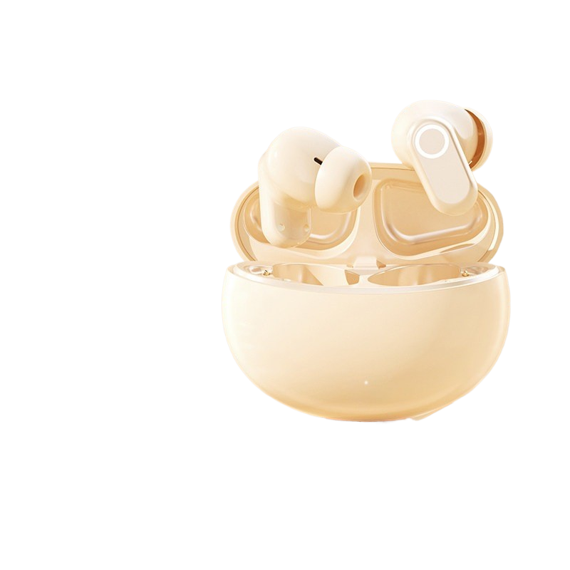 Wireless In-Ear Earbuds with Charging Case