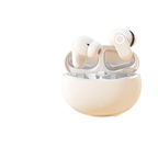 Wireless In-Ear Earbuds with Charging Case