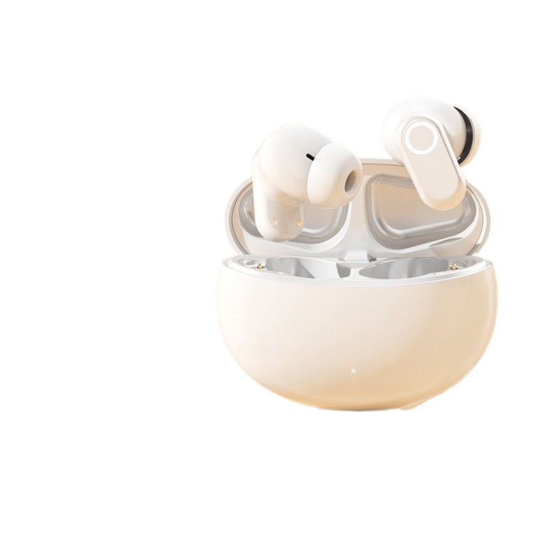 Wireless In-Ear Earbuds with Charging Case
